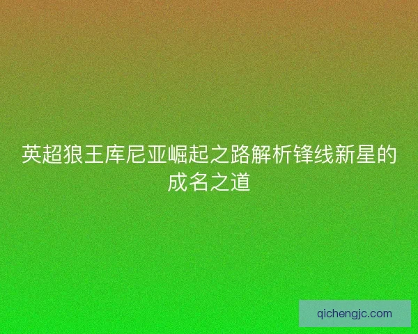 英超狼王库尼亚崛起之路解析锋线新星的成名之道