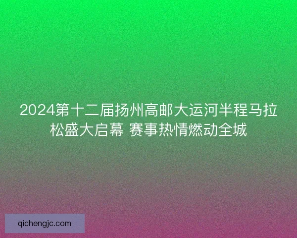 2024第十二届扬州高邮大运河半程马拉松盛大启幕 赛事热情燃动全城