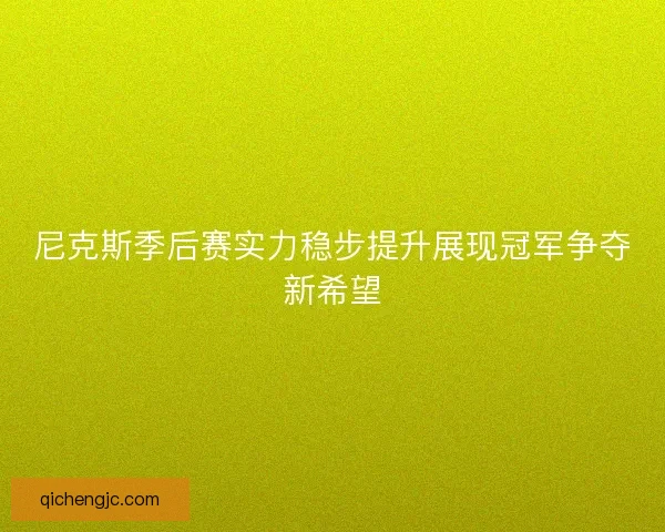 尼克斯季后赛实力稳步提升展现冠军争夺新希望